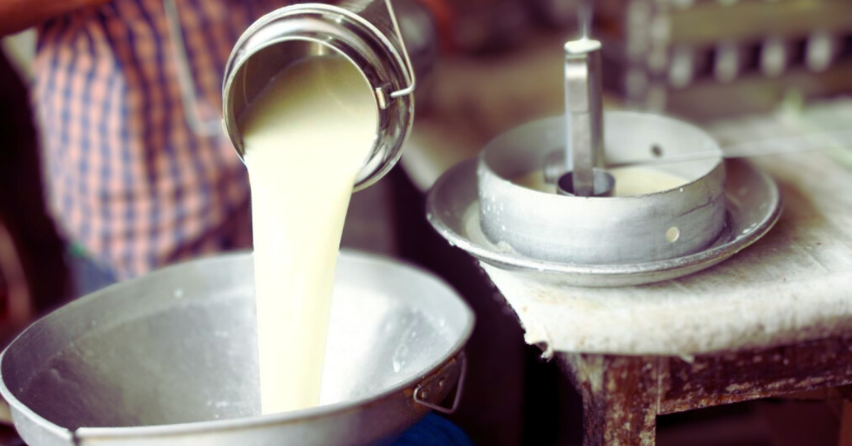 Verka, Milk Price Hike, Punjab News, Dairy Farmers, Milkfed, NCR, Dudh Di Keemat, Dairy Products, Skimmed Milk, Lassi, Paneer
