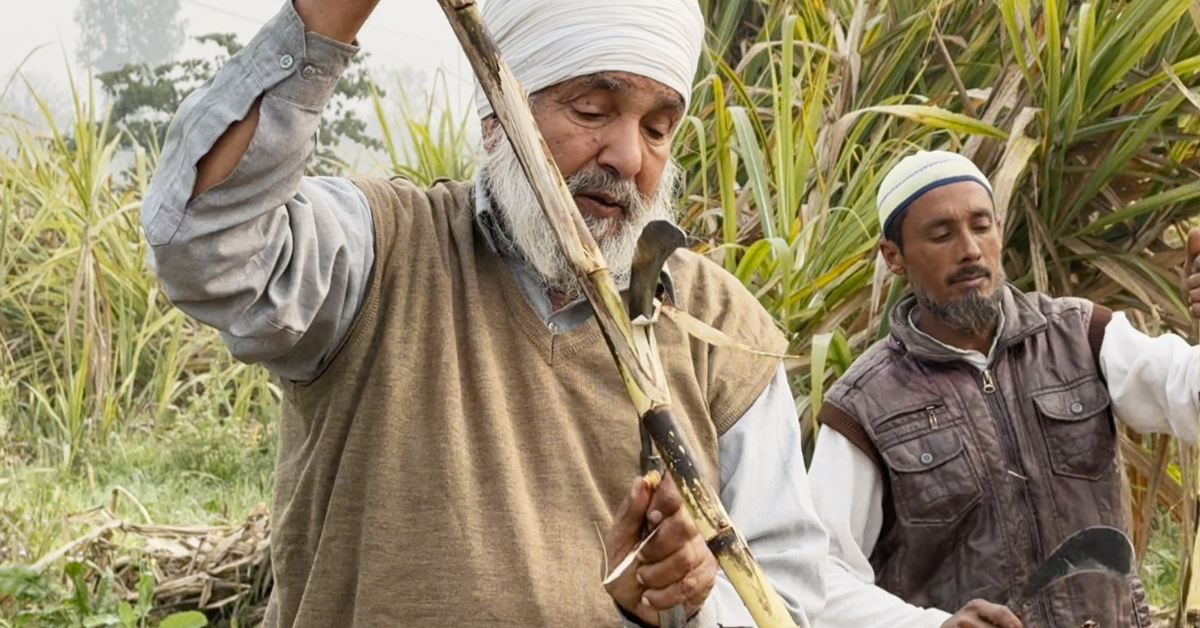 Organic Farming Punjab, Principal Tarsem Singh Nila Naloya, Natural Farming Success, PAU Awardee Farmers, Hoshiarpur Organic Mandi, Sustainable Agriculture Punjab, ਕੁਦਰਤੀ ਖੇਤੀ, ਪ੍ਰਿੰਸੀਪਲ ਤਰਸੇਮ ਸਿੰਘ ਨੀਲਾ ਨਲੋਆ, ਪੰਜਾਬੀ ਕਿਸਾਨ, ਜੈਵਿਕ ਖੇਤੀ, ਹੁਸ਼ਿਆਰਪੁਰ ਦੀ ਸੇਫ ਮੰਡੀ, ਸਤਮਿੰਦਰ ਸਿੰਘ ਕਿਸਾਨ।