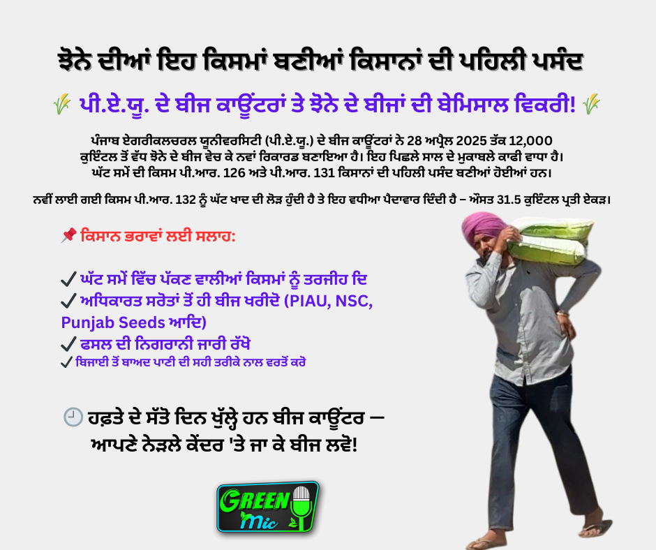 ਪੀ.ਏ.ਯੂ. ਦੇ ਬੀਜ ਕਾਊਂਟਰਾਂ ’ਤੇ ਝੋਨੇ ਦੇ ਬੀਜਾਂ ਦੀ ਰਿਕਾਰਡਤੋੜ ਵਿਕਰੀ