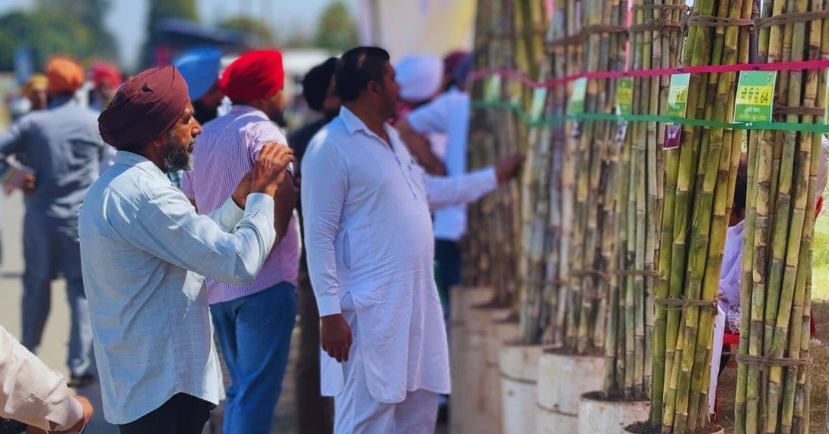 Sugarcane Price Hike, FRP 2025-26, Sugarcane Farmers News, Sugarcane MSP India, ₹355 per Quintal Sugarcane, Modi Government Agriculture News, Farmer Welfare India, Sugar Industry India, FRP Explained, Sugarcane Support Price