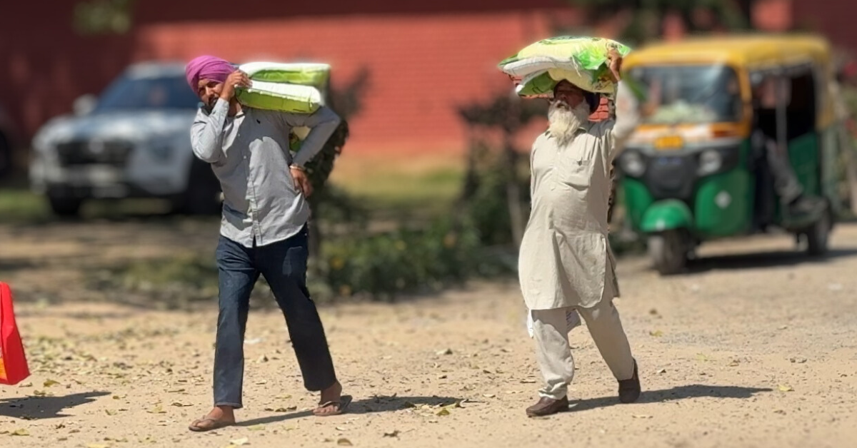PAU Seed Sale, Punjab Agriculture, Paddy Seed Varieties, PR126, PR131, PR132, Basmati Seeds, PB1509, PB1718, Punjab Farmers, Agricultural News India, Paddy Cultivation, Kharif Season Seeds, Krishi Vigyan Kendra, PAU Ludhiana, High Yield Paddy, Short Duration Paddy,