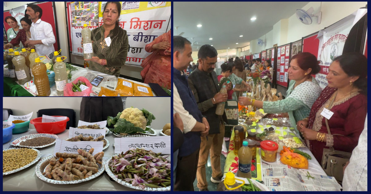 Natural Farming, NMNF, Sustainable Agriculture, Soil Health, KVK Ramban, Organic Farming, Chemical-free farming, Bio-inputs, Indian Agriculture.