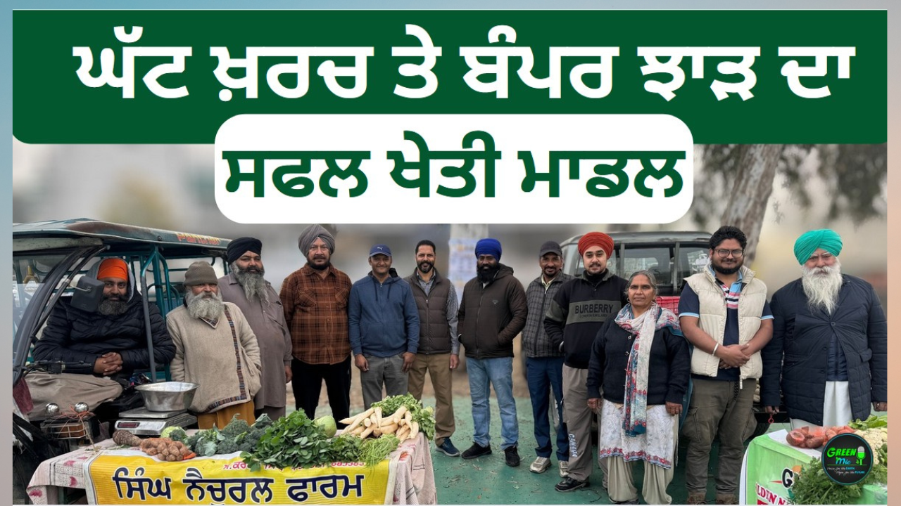 Sustainable farming: ਸਫਲ ਖੇਤੀ ਦਾ ਮਾਡਲ