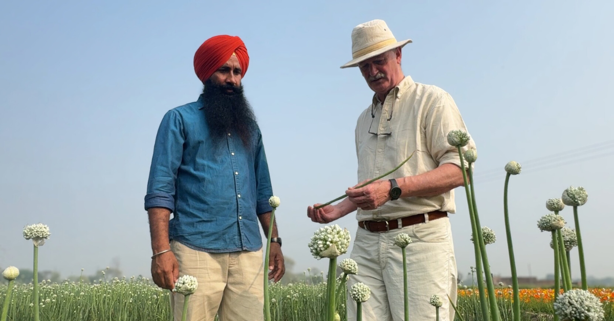 Onion seed farming, Bikram Singh Randhawa, Banur farmer, Dr. Chris Kick, PUM Netherlands, OP onion varieties, Punjab agriculture, onion export, ਪਿਆਜ਼ ਦੇ ਬੀਜ ਦੀ ਖੇਤੀ, ਬਿਕਰਮ ਸਿੰਘ ਰੰਧਾਵਾ, ਬਨੂੜ ਦਾ ਕਿਸਾਨ, ਡਾ. ਕ੍ਰਿਸ ਕਿੱਕ, ਪੰਜਾਬ ਖੇਤੀਬਾੜੀ, ਪਿਆਜ਼ ਦੀਆਂ ਕਿਸਮਾਂ, ਖੇਤੀਬਾੜੀ ਨਿਰਯਾਤ