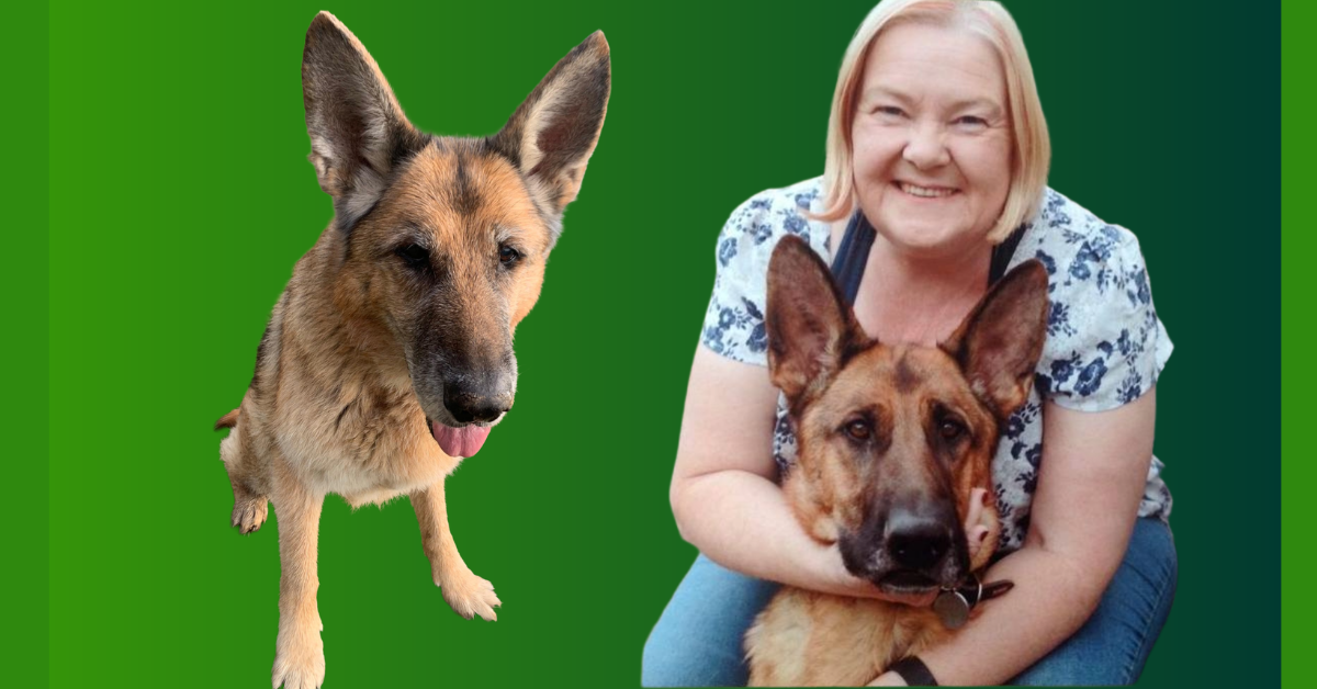 Cancer detecting dogs, Colleen Ferguson Inca, German Shepherd cancer detection, stage 1 lung cancer symptoms, miracle dog stories. ਕੁੱਤੇ ਨੇ ਬਚਾਈ ਜਾਨ, ਕੈਂਸਰ ਦੀ ਪਛਾਣ, ਜਰਮਨ ਸ਼ੈਫਰਡ ਇੰਕਾ, ਫੇਫੜਿਆਂ ਦਾ ਕੈਂਸਰ, ਹੈਰਾਨੀਜਨਕ ਘਟਨਾ।