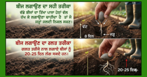 ਗਰਮੀਆਂ ਦੀਆਂ ਸਬਜ਼ੀਆਂ ਦੀ ਅਗੇਤੀ ਬਿਜਾਈ: ਬੀਜ ਉੱਗਣ ਵਿੱਚ ਦੇਰੀ ਦੇ ਕਾਰਨ ਅਤੇ ਸਹੀ ਤਰੀਕੇ