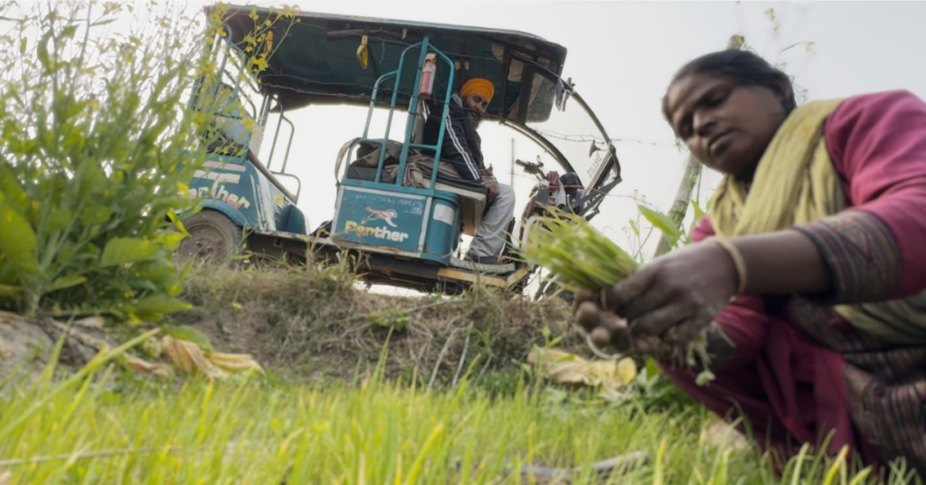 Karnail Singh Farmer, Organic Farming in Punjab, Green Mic Official, Inspirational Farmer Story, Hoshiarpur Organic Farming, Poison-free vegetables, IFA Punjab, Success story of disabled farmer, ਕਰਨੈਲ ਸਿੰਘ ਕਿਸਾਨ, ਜੈਵਿਕ ਖੇਤੀ, ਗ੍ਰੀਨ ਮਾਈਕ ਆਫੀਸ਼ੀਅਲ, ਹੁਸ਼ਿਆਰਪੁਰ ਖੇਤੀਬਾੜੀ, ਕੁਦਰਤੀ ਖੇਤੀ, ਪੰਜਾਬ ਦੇ ਅਗਾਂਹਵਧੂ ਕਿਸਾਨ, ਸੇਫ ਮੰਡੀ ਹੁਸ਼ਿਆਰਪੁਰ।