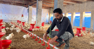 ਮੁਰਗੀ ਪਾਲਣ ਵਿੱਚ ਇੱਕ ਪ੍ਰੇਰਣਾਦਾਇਕ ਨੌਜਵਾਨ ਕਿਸਾਨ – ਮਨਜੀਤ ਸਿੰਘ