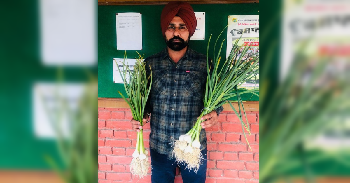 ਪੰਜਾਬ ਦੀ ਖੇਤੀ, ਲਸਣ ਦੀ ਖੇਤੀ, ਖੁਸ਼ਦੀਪ ਸਿੰਘ ਬੈਂਸ, ਪੀ.ਏ.ਯੂ ਕਿਸਾਨ ਮੇਲਾ, ਸਫ਼ਲ ਕਿਸਾਨ, ਸਬਜ਼ੀਆਂ ਦੀ ਕਾਸ਼ਤ, ਲੁਧਿਆਣਾ ਖੇਤੀਬਾੜੀ। Punjab Agriculture, Garlic Farming, Crop Diversification, PAU Kisan Mela, Success Story, Progressive Farmer, Ludhiana Farmers, Vegetable Farming.