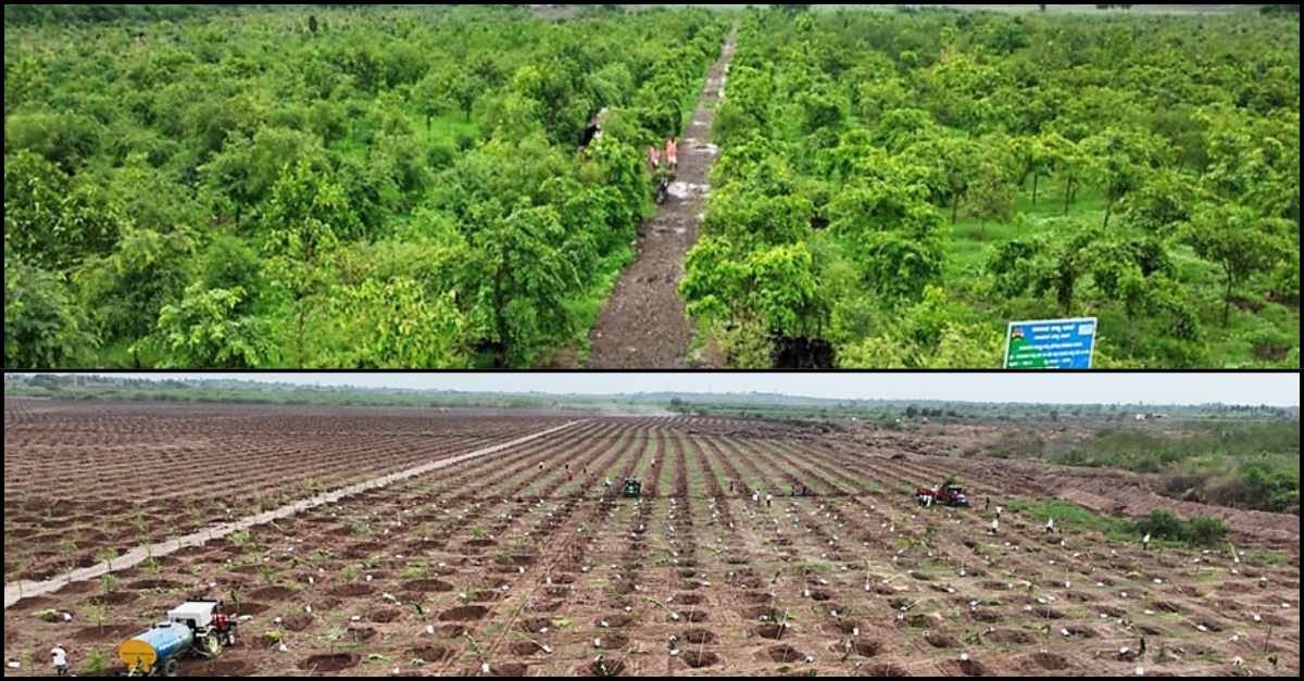 Vijayapura Green Revolution 1.5 Crore Trees, ਵਿਜੇਪੁਰਾ ਹਰੀ ਕ੍ਰਾਂਤੀ (Vijayapura Green Revolution)