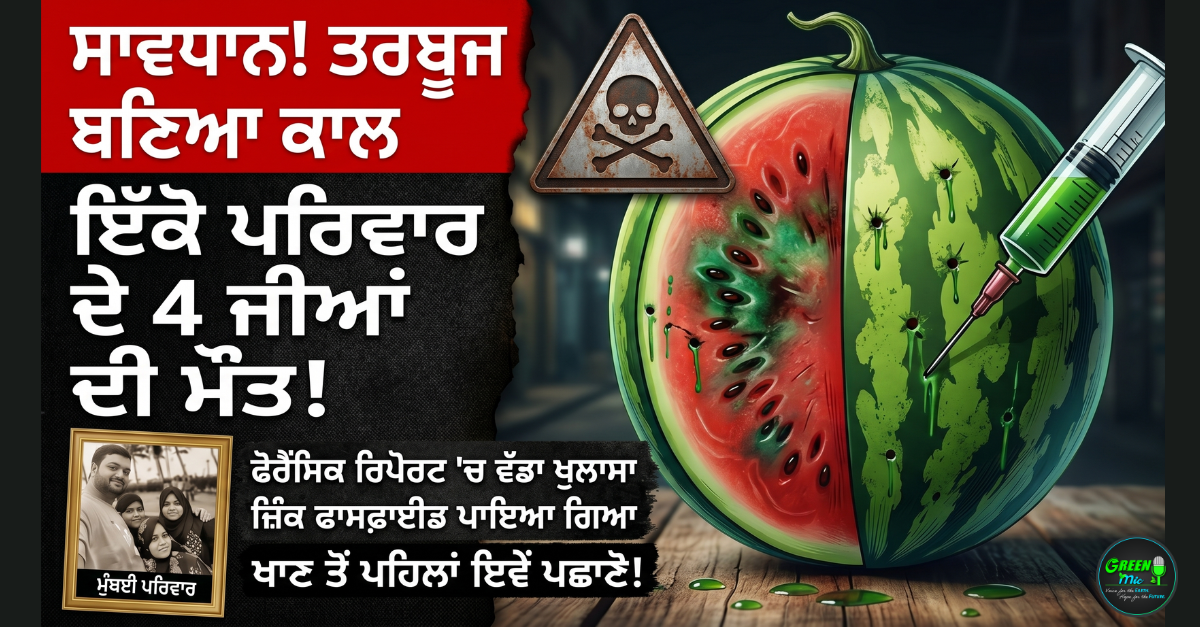 Mumbai News, Forensic Report, Zinc Phosphide, Food Poisoning, Watermelon Death Case, Mumbai Police Investigation. ਮੁੰਬਈ ਨਿਊਜ਼, ਤਰਬੂਜ ਵਿੱਚ ਜ਼ਹਿਰ, ਫੋਰੈਂਸਿਕ ਰਿਪੋਰਟ, ਜ਼ਿੰਕ ਫਾਸਫਾਈਡ, ਮੁੰਬਈ ਪੁਲਿਸ ਜਾਂਚ, Mumbai News in Punjabi.