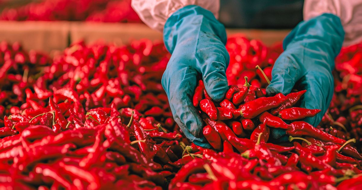ਆਂਧਰਾ ਪ੍ਰਦੇਸ਼ ਮਿਰਚ ਨਿਰਯਾਤ ਪਾਬੰਦੀ (Andhra Pradesh chilli export)
