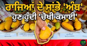 ਝੋਨੇ-ਕਣਕ ਦੇ ਰਵਾਇਤੀ ਚੱਕਰ ‘ਚੋਂ ਨਿਕਲ ਕੇ ਬਾਗਬਾਨੀ ਅਪਣਾਉਣ ਦੀ ਲੋੜ: ਅੰਬਾਂ ਦੀ ਖੇਤੀ ਬਣ ਸਕਦੀ ਹੈ ਲਾਹੇਵੰਦ ਧੰਦਾ
