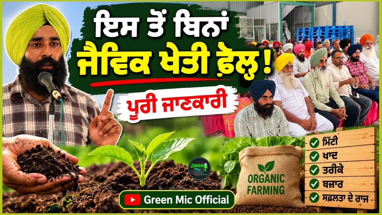 Organic Farming: ਨਵੇਂ ਨਿਯਮ ਅਤੇ ਪ੍ਰਮਾਣੀਕਰਣ ਦੀ ਪੂਰੀ ਜਾਣਕਾਰੀ । Punjab Agro