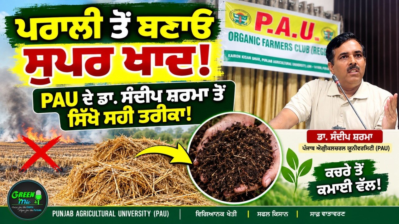 Paddy straw Composting: ਪਰਾਲੀ ਤੋਂ ਖਾਦ ਤਿਆਰ ਕਰਨ ਦੀ ਪੂਰੀ ਜਾਣਕਾਰੀ
