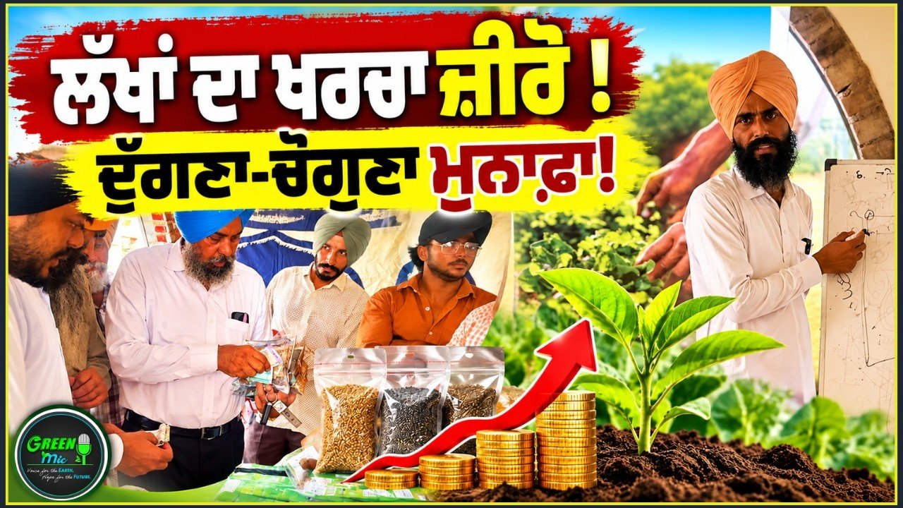 ਨਾ ਮਹਿੰਗਾ ਬੀਜ, ਨਾ ਕੀਟਨਾਸ਼ਕ ਫਿਰ ਵੀ ਬੰਪਰ ਝਾੜ!